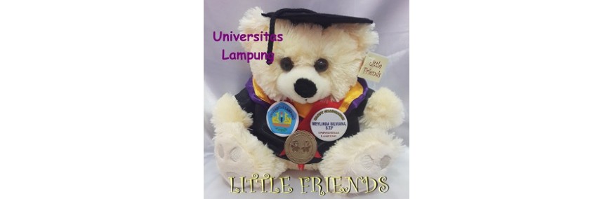 Boneka Wisuda Universitas Lampung